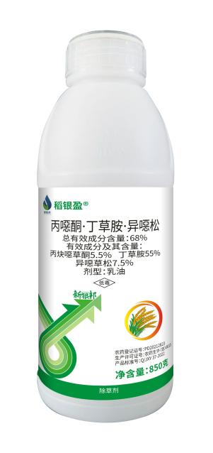 稻银盈