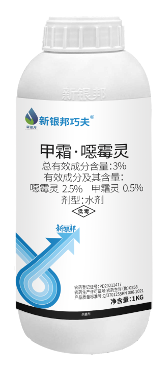 新银邦巧夫